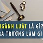 Ngành Luật Học Mấy Năm